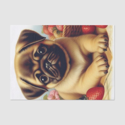 Schattige Pug schilderij Tissuepapier (Voorkant)