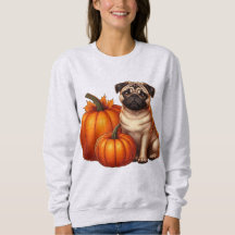 Schattige Pug Zit Naast Pompoenen Met Herfst
