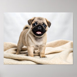 Schattige pugpuppy poster