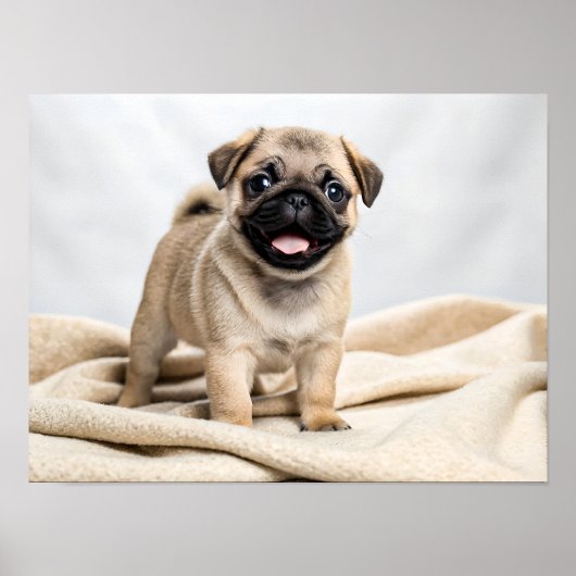 Schattige pugpuppy poster (Voorkant)