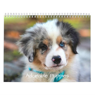 Schattige Puppies 2026 Schattige Hond Kalender