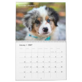 Schattige Puppies 2026 Schattige Hond Kalender (Jan 2027)