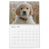 Schattige Puppies 2026 Schattige Hond Kalender (Feb 2027)