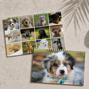 Schattige Puppies 2026 Schattige Hond Kalender