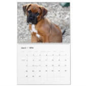 Schattige Puppies - Aangepaste agenda Kalender (Mar 2026)