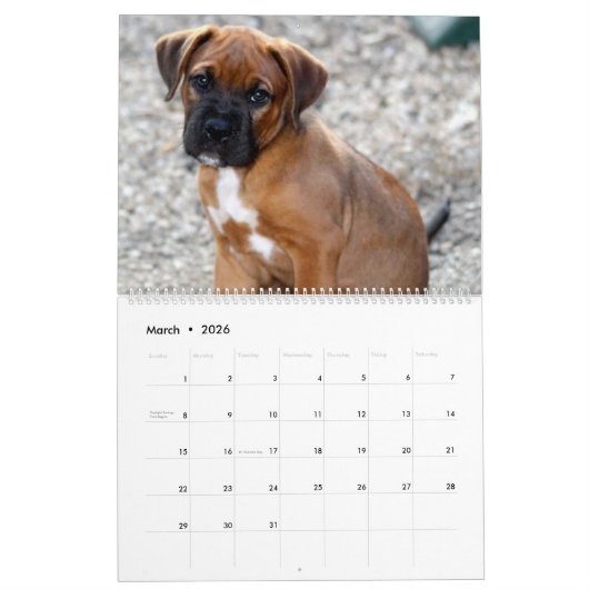 Schattige Puppies - Aangepaste agenda Kalender (Mar 2026)