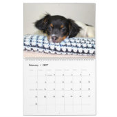 Schattige Puppies - Aangepaste agenda Kalender (Feb 2027)