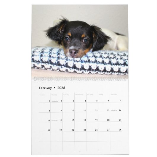 Schattige Puppies - Aangepaste agenda Kalender (Feb 2026)