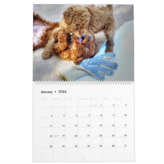 Schattige Puppies - Aangepaste agenda Kalender (Jan 2026)
