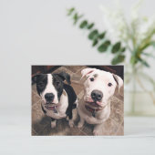 schattige puppies honden briefkaart (Staand voorkant)