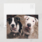 schattige puppies honden briefkaart (Voorkant / Achterkant)