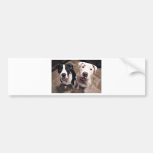 schattige puppies honden bumpersticker
