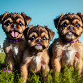 Schattige Puppies in Brussel Griffon Latte Mok