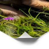 Schattige Puppies in Brussel Griffon Perfect Poster (Hoek)