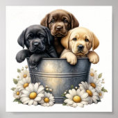 Schattige Puppies in een Poster van een bloempotwa (Voorkant)