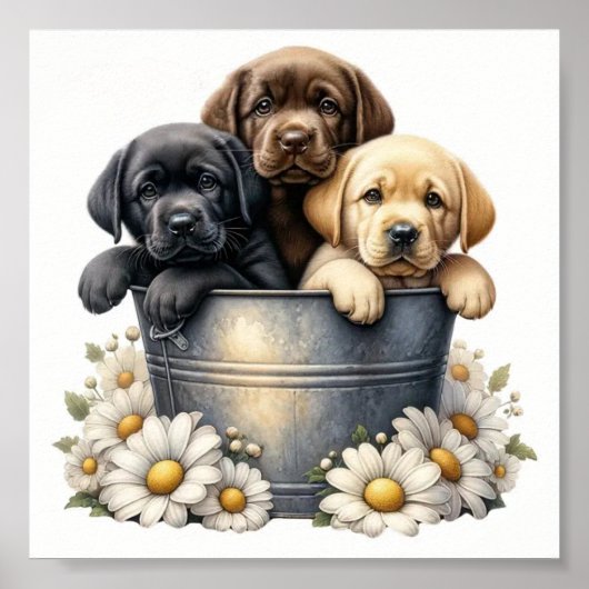 Schattige Puppies in een Poster van een bloempotwa (Voorkant)