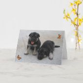 Schattige Puppies Kaart (Gele Bloem)