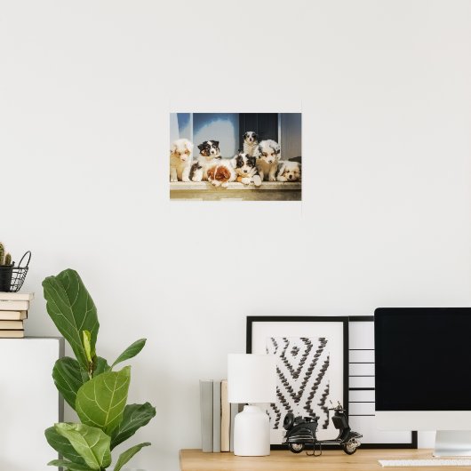 Schattige Puppies Poster (Thuiskantoor)