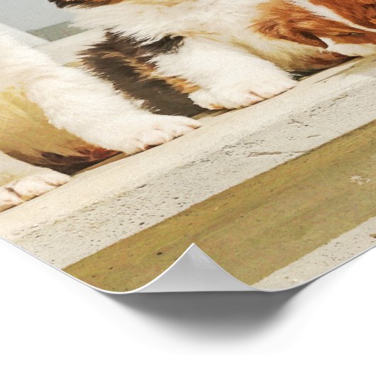 Schattige Puppies Poster (Hoek)