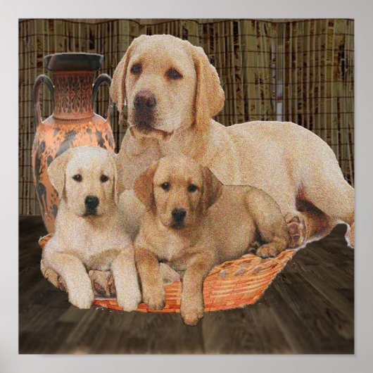 schattige puppies poster (Voorkant)