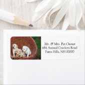 Schattige Puppies Retouradres Postlabel ticker Etiket (Insitu)