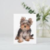 Schattige puppy briefkaart (Staand voorkant)