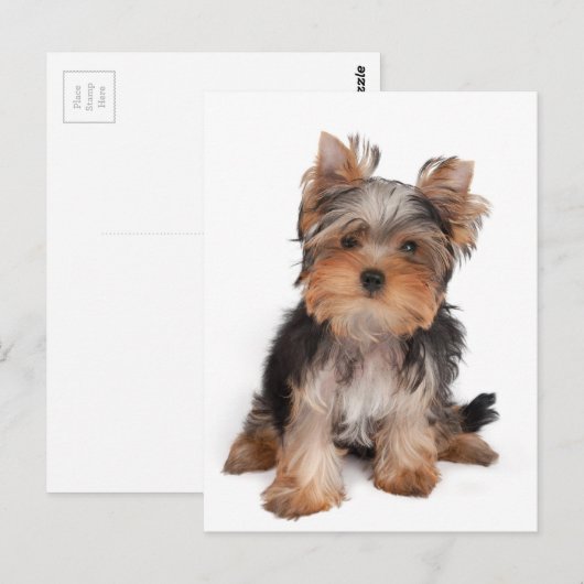 Schattige puppy briefkaart (Voorkant / Achterkant)