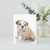 Schattige Puppy Bulldog Verdrietig Kaart (Staand voorkant)