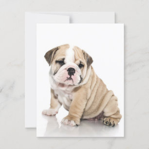 Schattige Puppy Bulldog Verdrietig Kaart