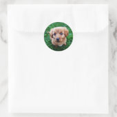 Schattige Puppy Classic foto Ronde Sticker (Tas)