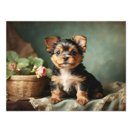  Schattige Puppy Dog Yorkshire Terrier Portret Foto Afdruk