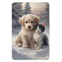 Schattige Puppy en Kitten in Sneeuwkoelkast