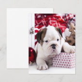 Schattige Puppy Engelse Bulldog | Grappig Kerstmis Kaart (Voorkant / Achterkant)