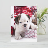 Schattige Puppy Engelse Bulldog | Grappige Kerstmi Feestdagenkaart (Staand voorkant)