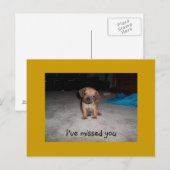 Schattige puppy Eyes Briefkaart (Voorkant / Achterkant)