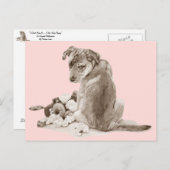 Schattige puppy gemengd ras met teddyhond briefkaart (Voorkant / Achterkant)