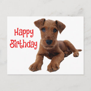 Schattige Puppy Hond Airedale Terrier Verjaardag Briefkaart