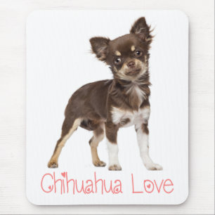 Schattige Puppy Hond Geschenk Lang Haar Grappige C Muismat