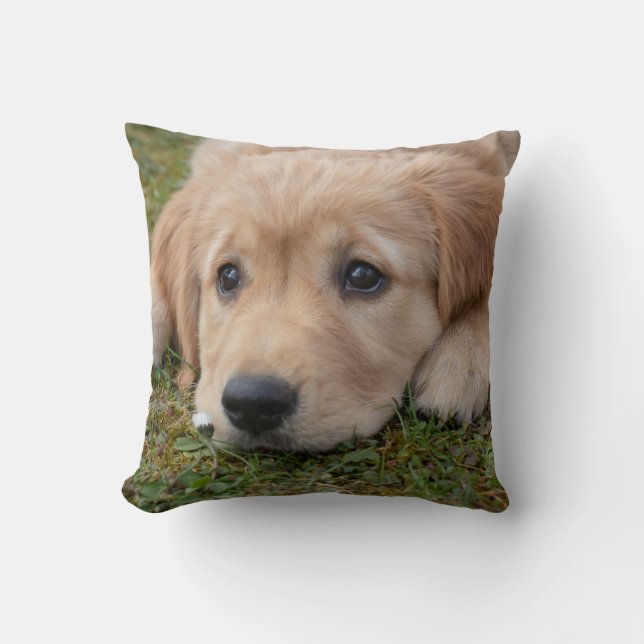 Schattige puppy hond kussen (Voorkant)