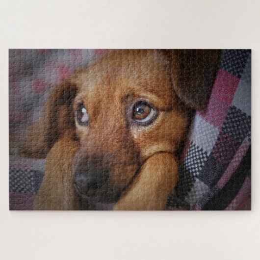 Schattige puppy hond legpuzzel (Horizontaal)