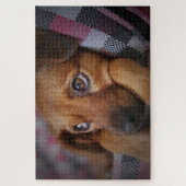 Schattige puppy hond legpuzzel (Verticaal)