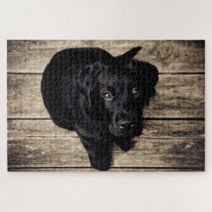 Schattige puppy hond legpuzzel