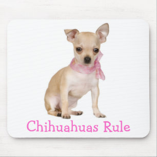 Schattige Puppy Hond Liefhebber Grappige Chihuahua Muismat