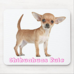 Schattige puppy hond moeder cadeau grappige Chihua Muismat