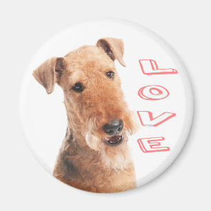 Schattige Puppy Hond Moeder Hondenliefhebber Aired Magneet