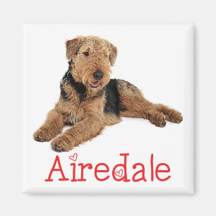 Schattige Puppy Hond Moeder Hondenliefhebber Aired Magneet