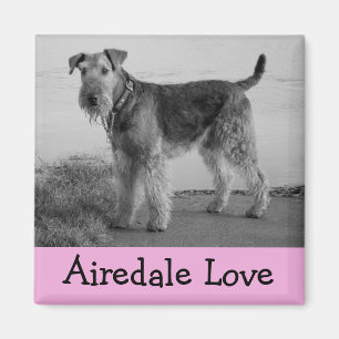 Schattige Puppy Hond Moeder Hondenliefhebber Aired Magneet