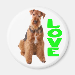 Schattige Puppy Hond Moeder Hondenliefhebber Aired Magneet