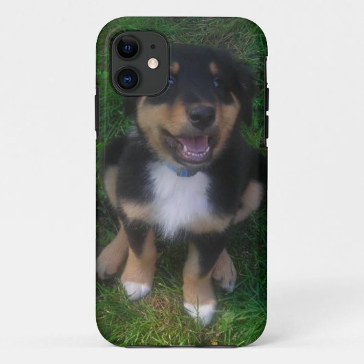 Schattige Puppy iPhone 5 Hoesje (Achterkant)