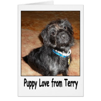 Schattige "Puppy Love Of Terry"-kaart